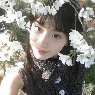 摩登衙门
